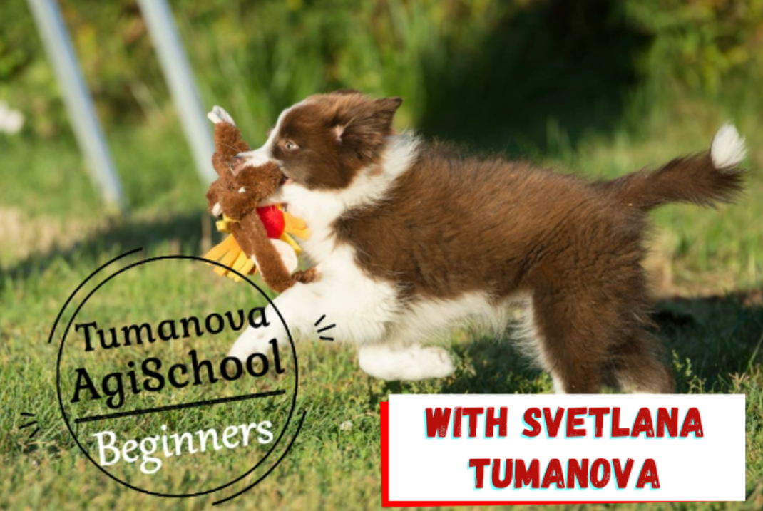 Beginners with Svetlana Tumanova