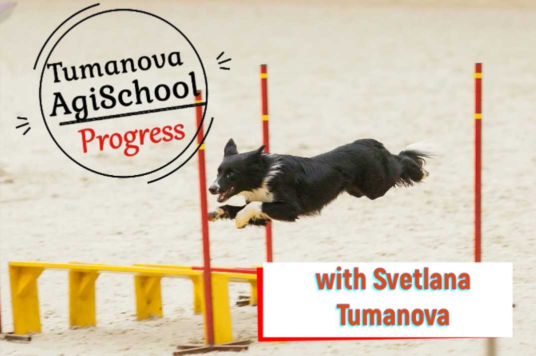 2d module – “Progress – BARS” with Svetlana Tumanova